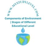 Components of Environment Stages of Different Educational Level