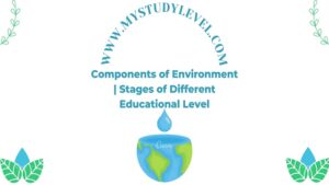 Components of Environment Stages of Different Educational Level