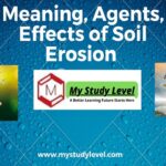 Meaning, Agents, Effects of Soil Erosion Agriculture Study