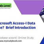 What is Microsoft Access-I Data Base Online