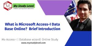 What is Microsoft Access-I Data Base Online