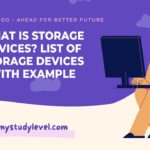 What is Storage Devices List of Storage Devices with Example