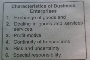 characteristics of business enterprises- mystudylevel