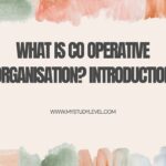 What is Co Operative Organisation Introduction