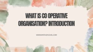 What is Co Operative Organisation Introduction