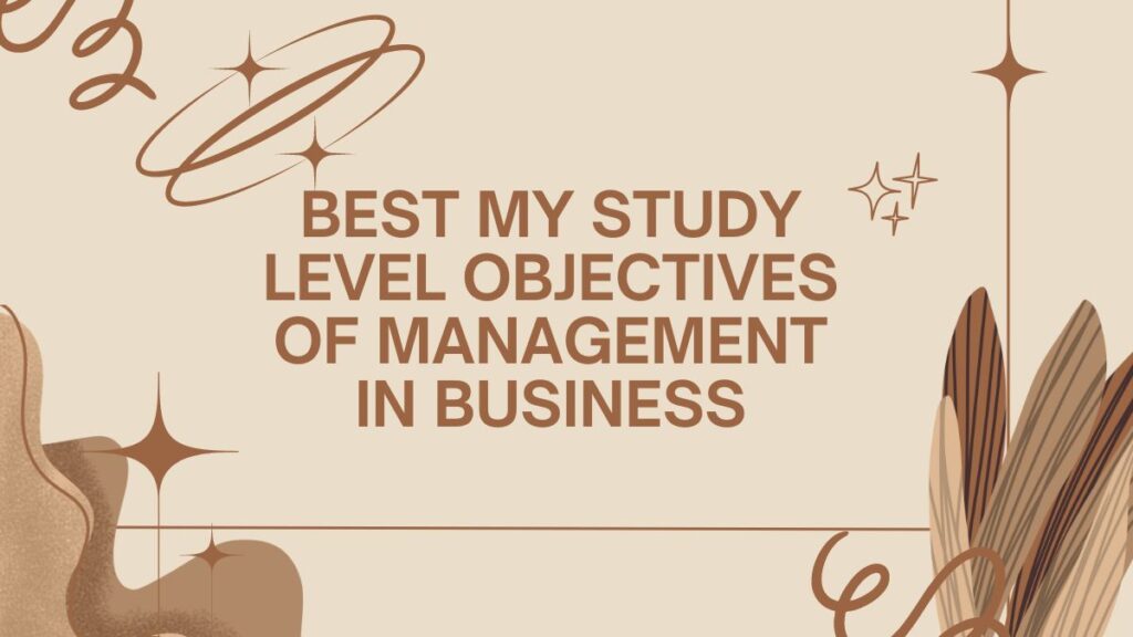 Best My Study Level Objectives of management in Business