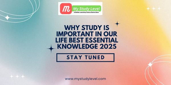 Why Study is Important in Our Life Best Essential Knowledge 2025